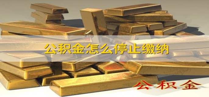 公积金怎么停止缴纳
