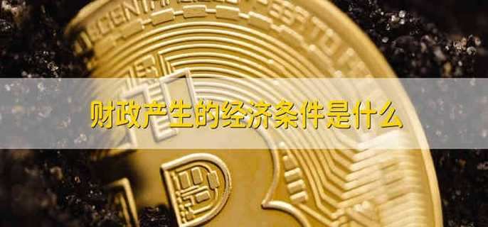 财政产生的经济条件是什么