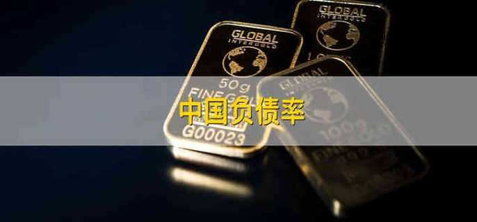 中国负债率是什么意思