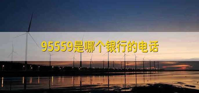 95559是哪个银行的电话