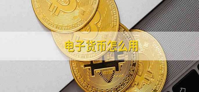 电子货币怎么用