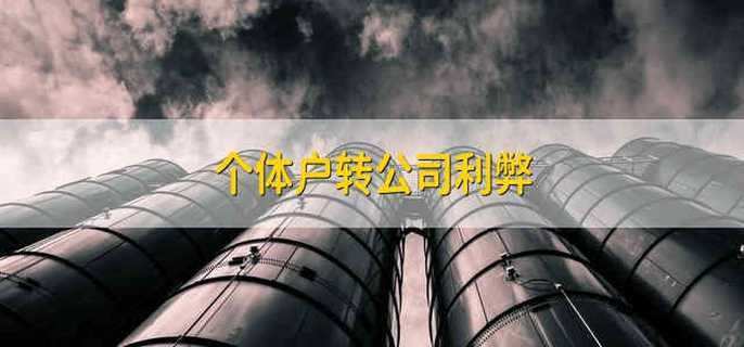 个体户转公司利弊
