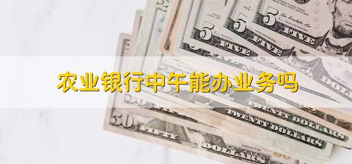 农业银行中午能办业务吗
