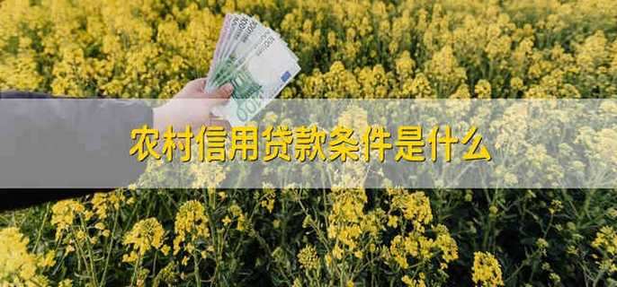 农村信用贷款条件是什么
