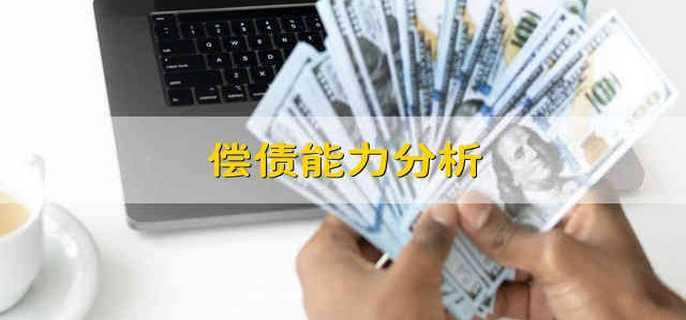 偿债能力分析