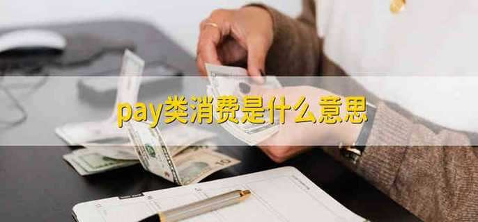 pay类消费是什么意思