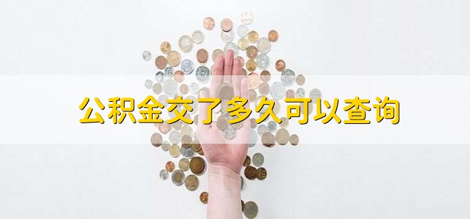 公积金交了多久可以查询