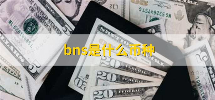 bns是什么币种