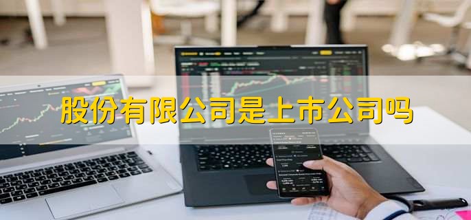 股份有限公司是上市公司吗