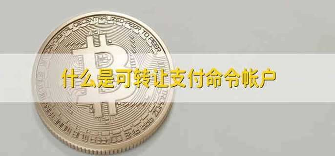 什么是可转让支付命令帐户