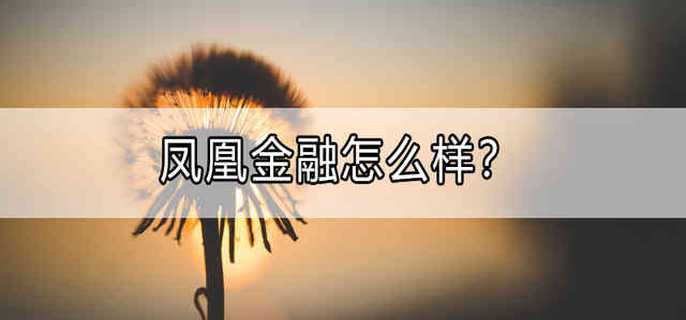 凤凰金融怎么样？