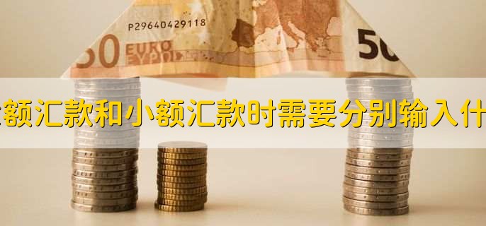 大额汇款和小额汇款时需要分别输入什么?