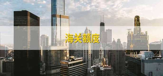 海关额度