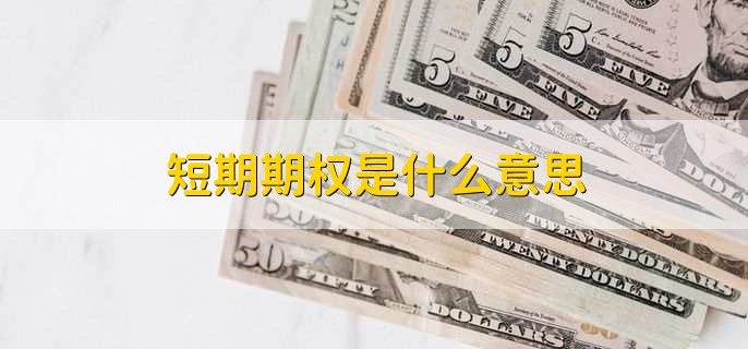 短期期权是什么意思