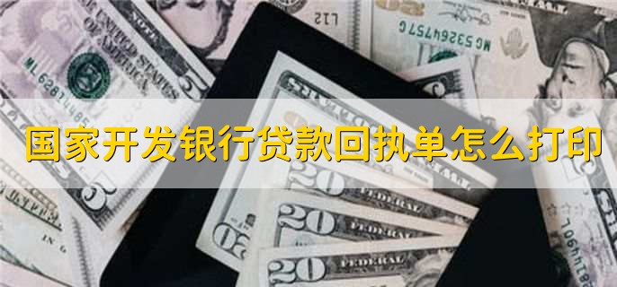 国家开发银行贷款回执单怎么打印