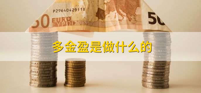 多金盈是做什么的？