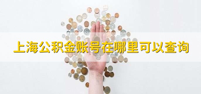 上海公积金账号在哪里可以查询