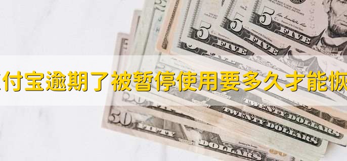支付宝逾期了被暂停使用要多久才能恢复