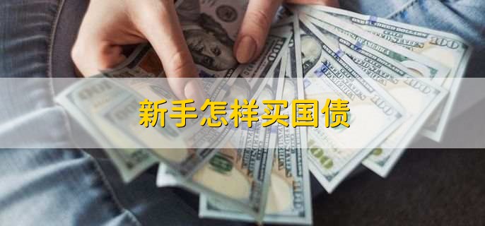 新手怎样买国债