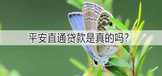 平安直通贷款是真的吗