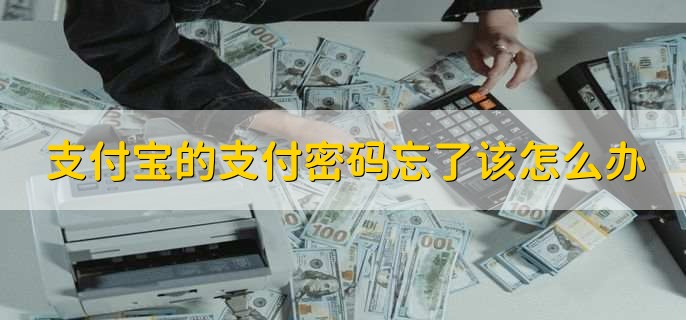 支付宝的支付密码忘了该怎么办