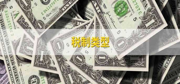 税制类型