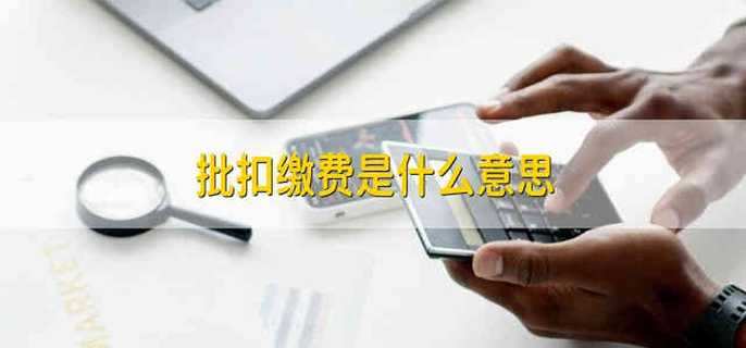 批扣缴费是什么意思