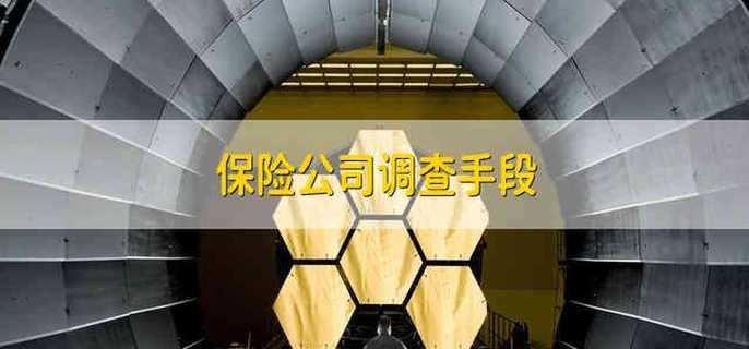 保险公司调查手段