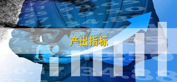 产出指标
