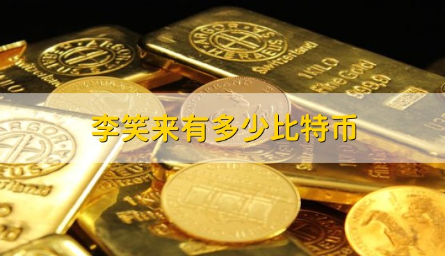 李笑来有多少比特币？