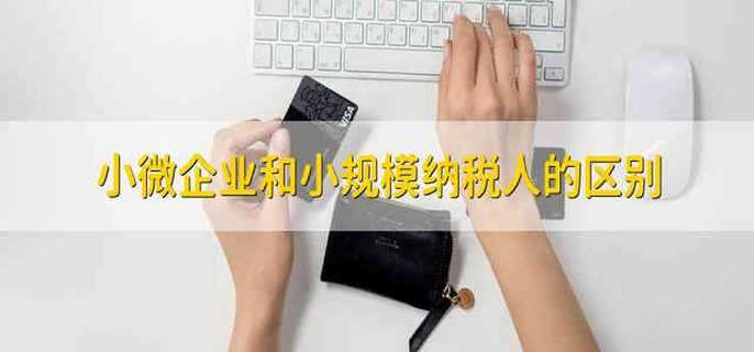 小微企业和小规模纳税人的区别