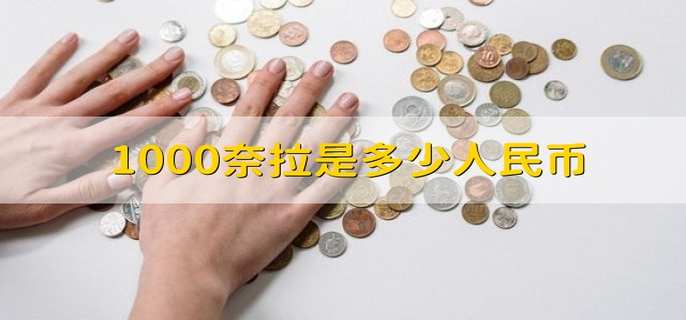 1000奈拉是多少人民币