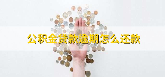 公积金贷款逾期怎么还款