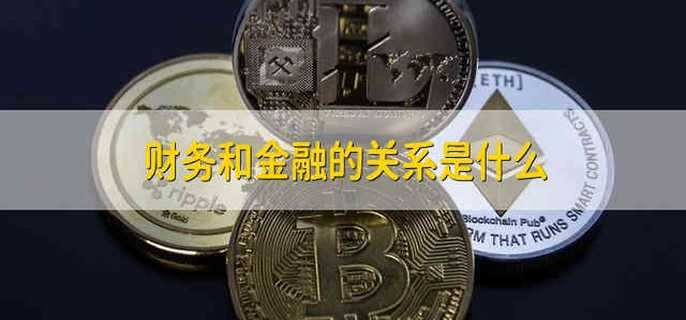 财务和金融的关系是什么