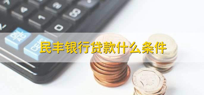 民丰银行贷款什么条件
