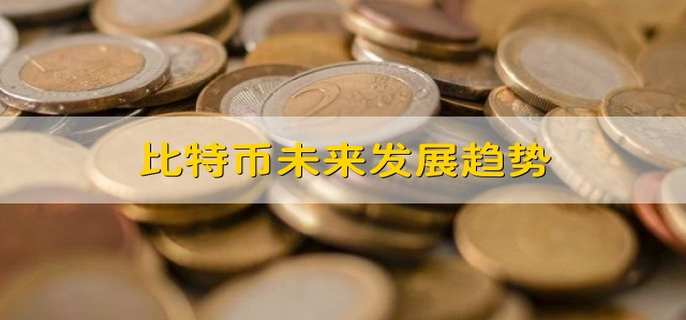 比特币未来发展趋势