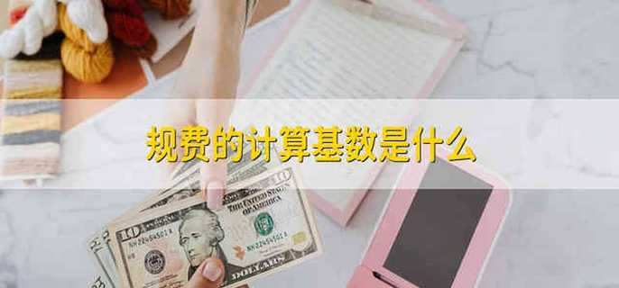 规费的计算基数是什么