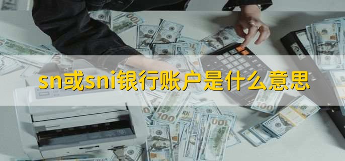 sn或sni银行账户是什么意思