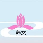 攻略网