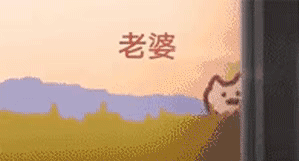 抖音追火车的猫表情包大全一览 追火车的猫叫什么出处表情包