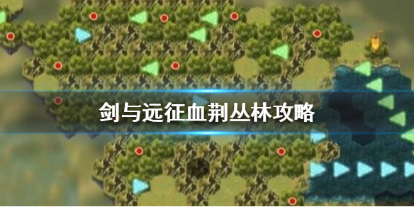 攻略网