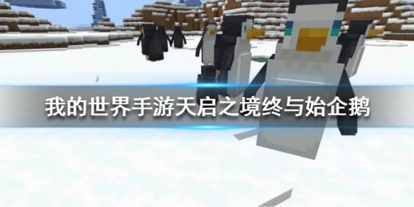 攻略网