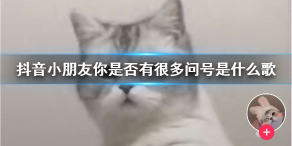 抖音小朋友你是否有很多问号是什么歌 mur猫表情包