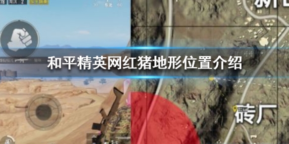 攻略网