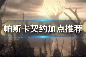 《帕斯卡契约》加点推荐 技能加点攻略