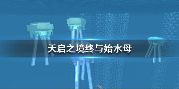 攻略网