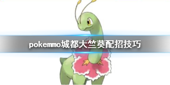 pokemmo城都大竺葵配招技巧 城都大竺葵PVP玩法教程