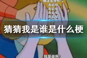 B站猜猜我是谁是什么梗 shakeit毒菇给wuli信赖母鸡鸡祈祷nia是什么意思