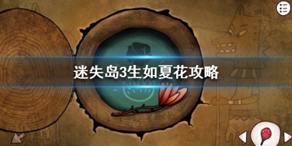 攻略网