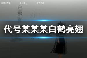 《代号某某某》白鹤亮翅连招教程 第19剑推荐连招一览